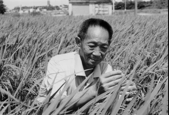 n.sinaimg (2).jpg