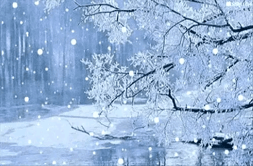 2021_1108_f2d2e9b7g00r29e1y00kfc000dw0094g.gif