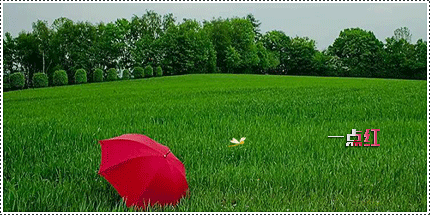 1.gif