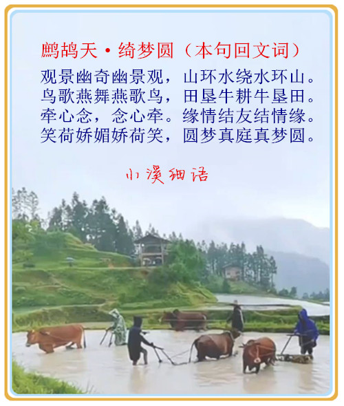 eadc42e224a69e689f55d0203a0c62d3_����.jpg