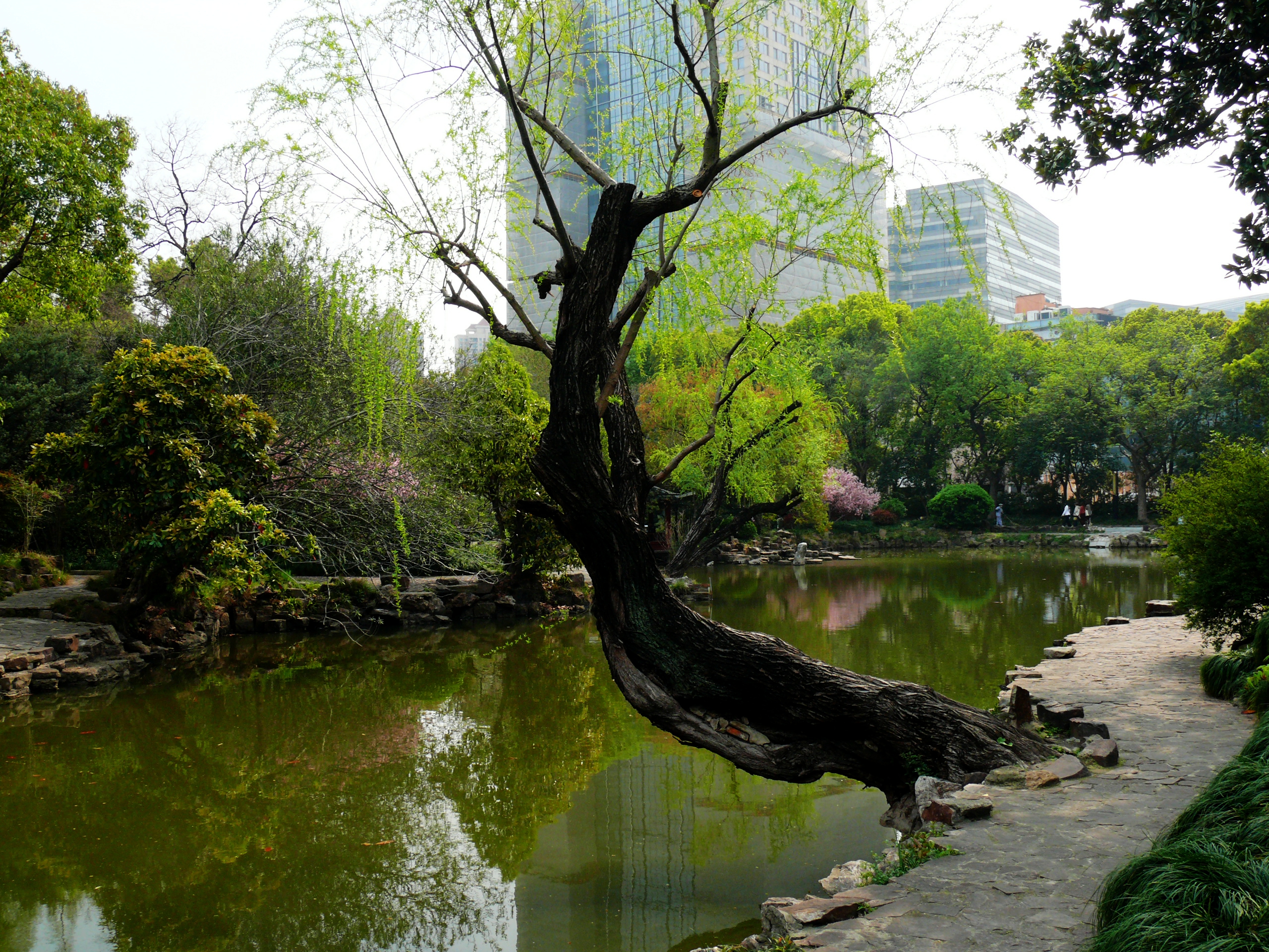 P1390420.JPG